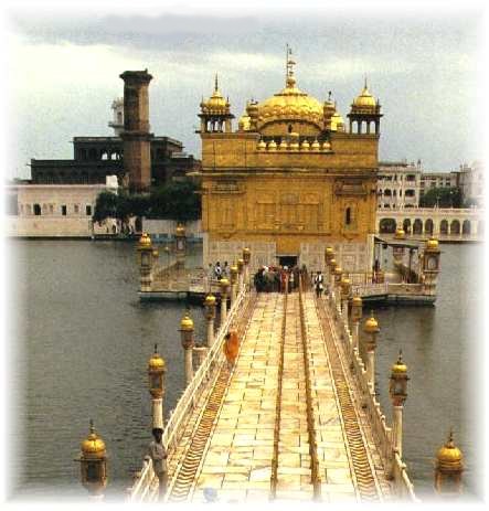 goldenfront.jpg (53504 bytes)